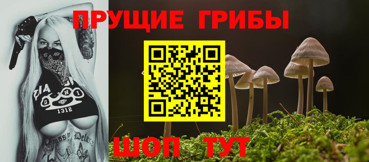 Галлюциногенные грибы мицелий  купить наркоту  Вход с VPN  Советск  Псилоцибиновые грибы Cubensis 